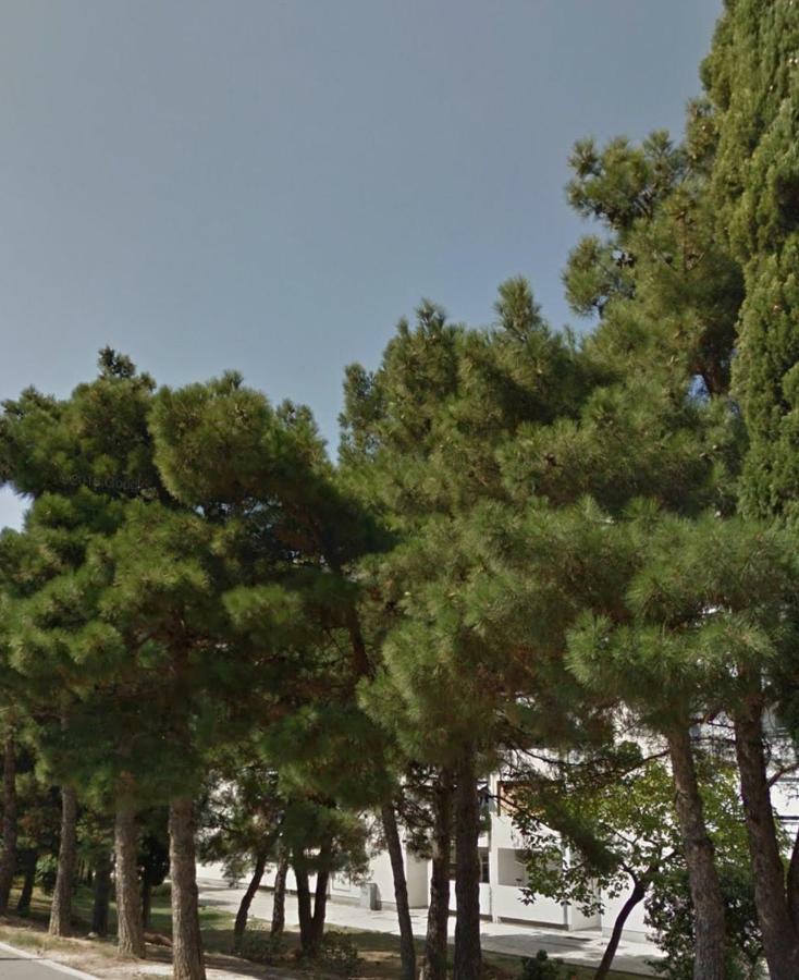 Mileva Apartman Split Kültér fotó